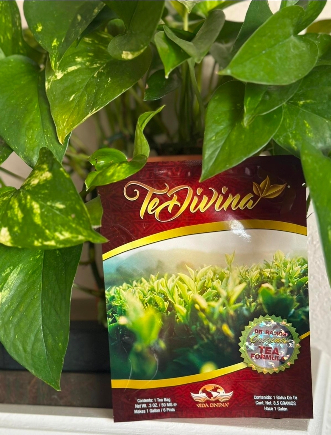 Promoción Té Divina El Salvador